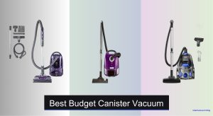 6 Best Budget Canister Vacuums of 2025