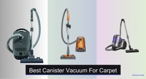 6 Best Canister Vacuums for Carpet of 2025