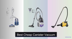 6 Best Cheap Canister Vacuums to Buy in 2025