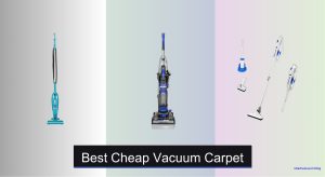 6 Best Cheap Vacuums for Carpet in 2025