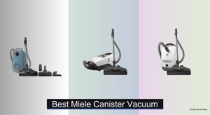 7 Best Miele Canister Vacuums of 2026